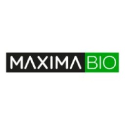 GyO Recursos Humanos